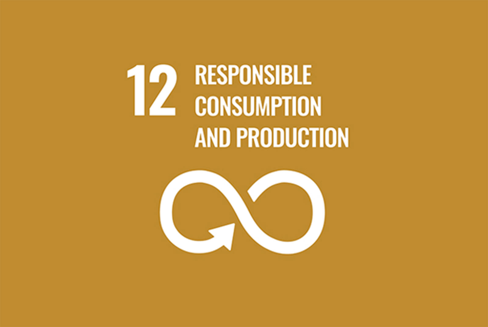 sdgs12.jpg200