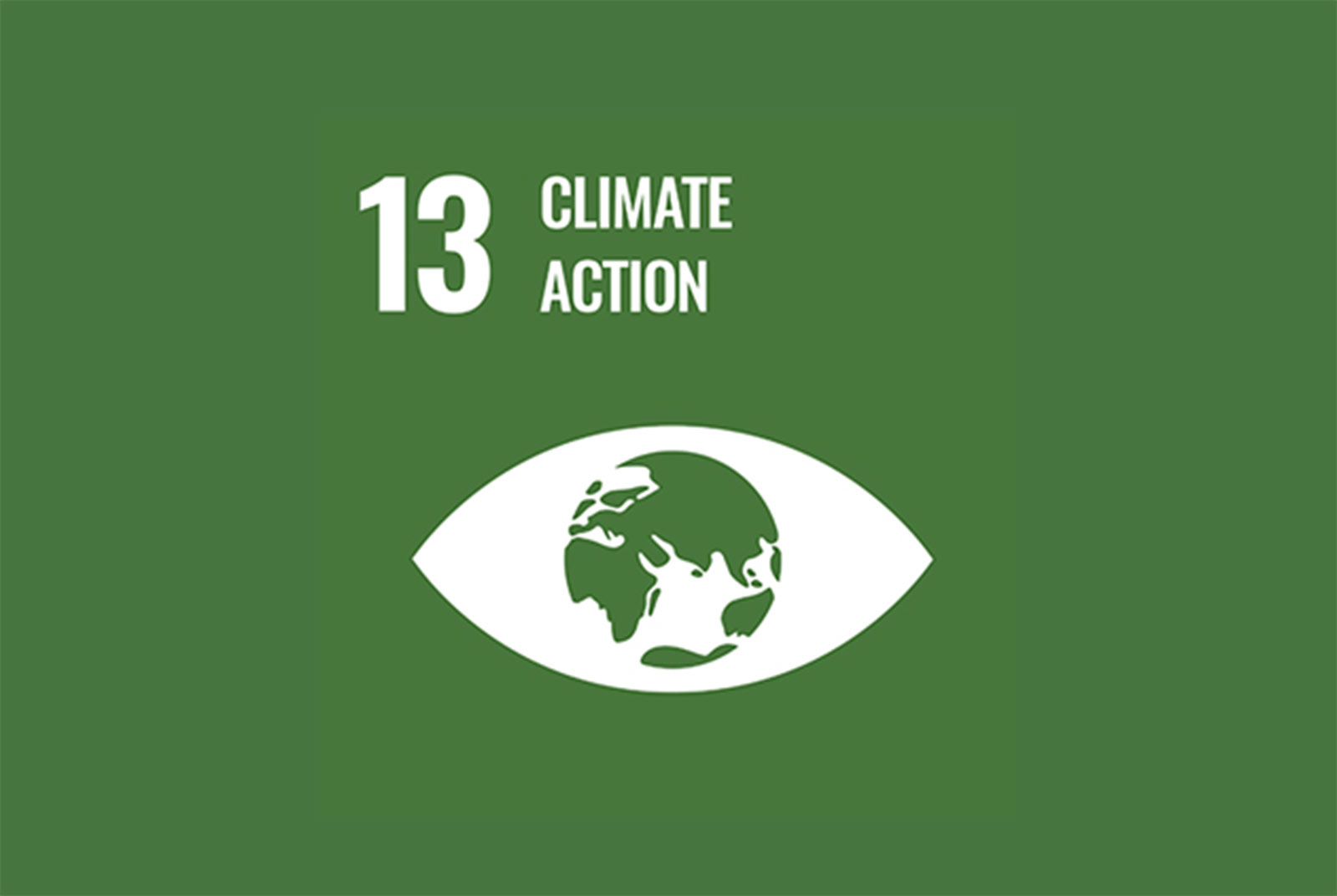 sdgs13.jpg200