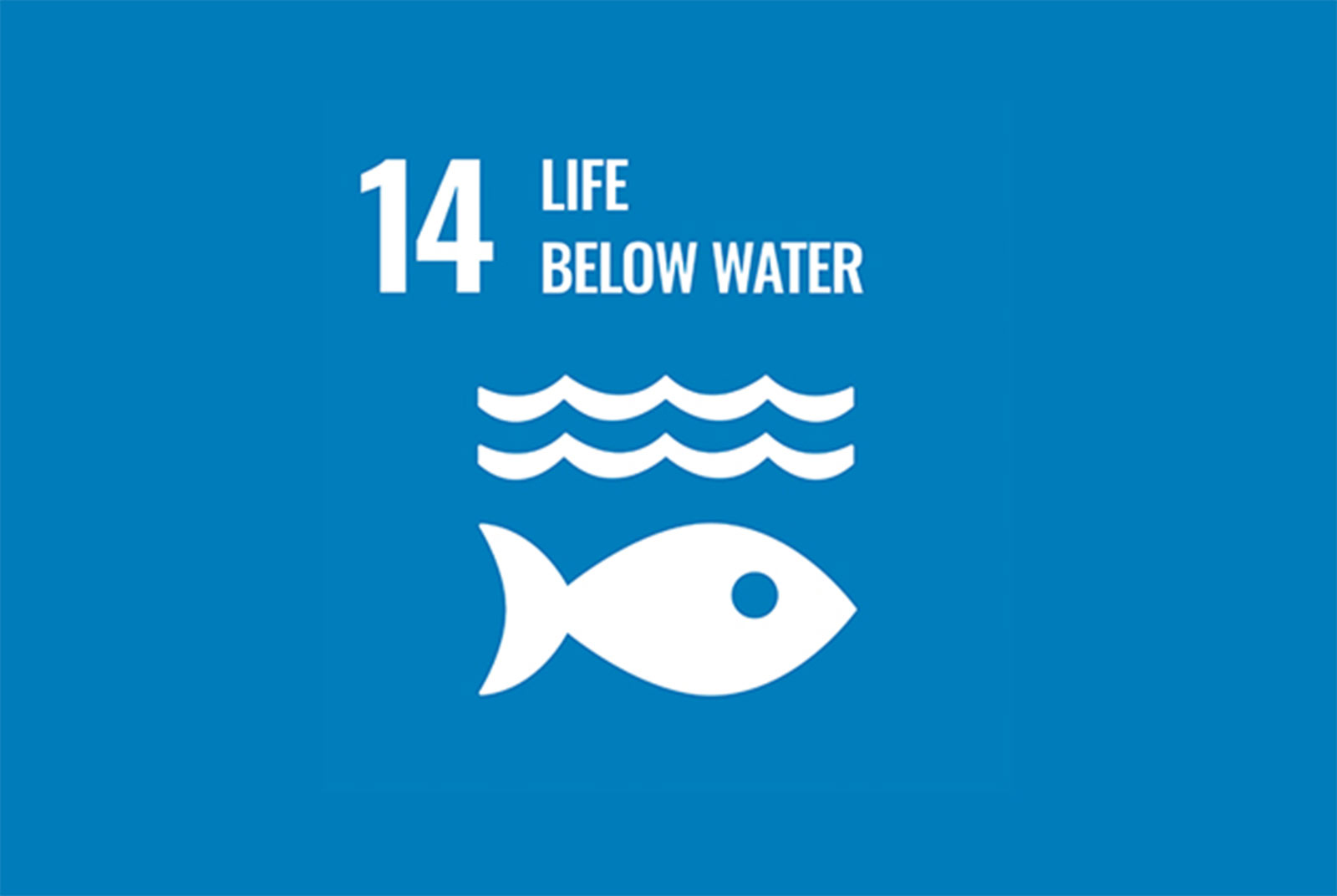 sdgs14.jpg200