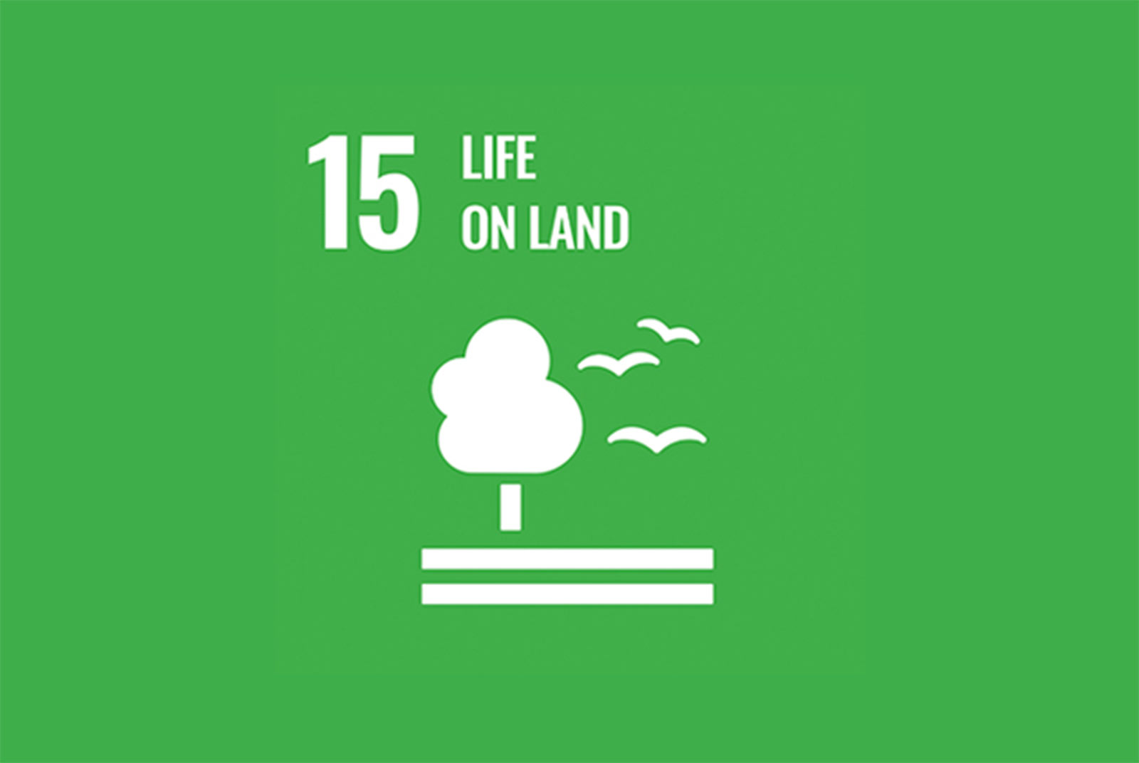sdgs15.jpg200