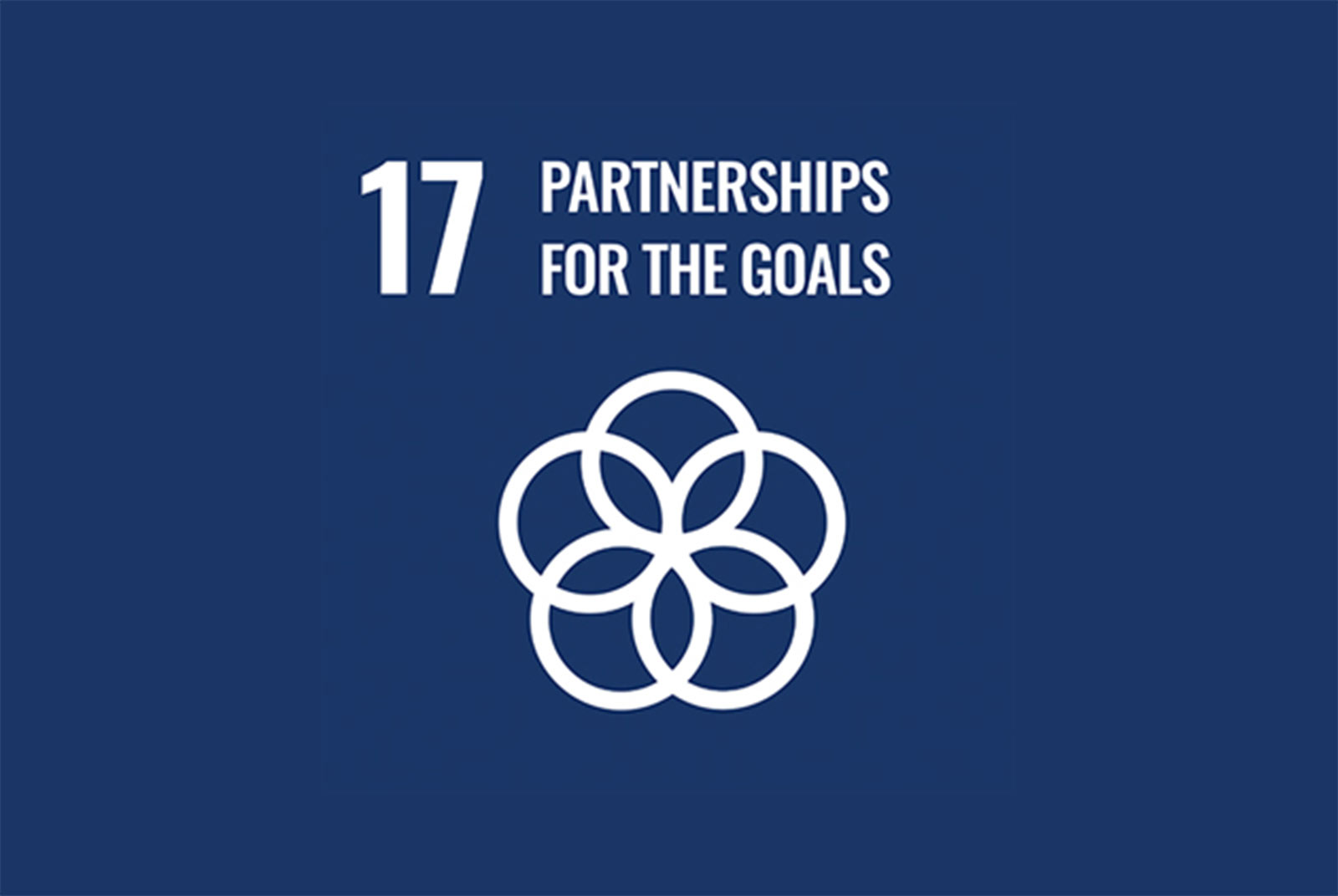 sdgs17.jpg200